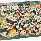 Puzzle - Jumbo - Poszter - pillangók
