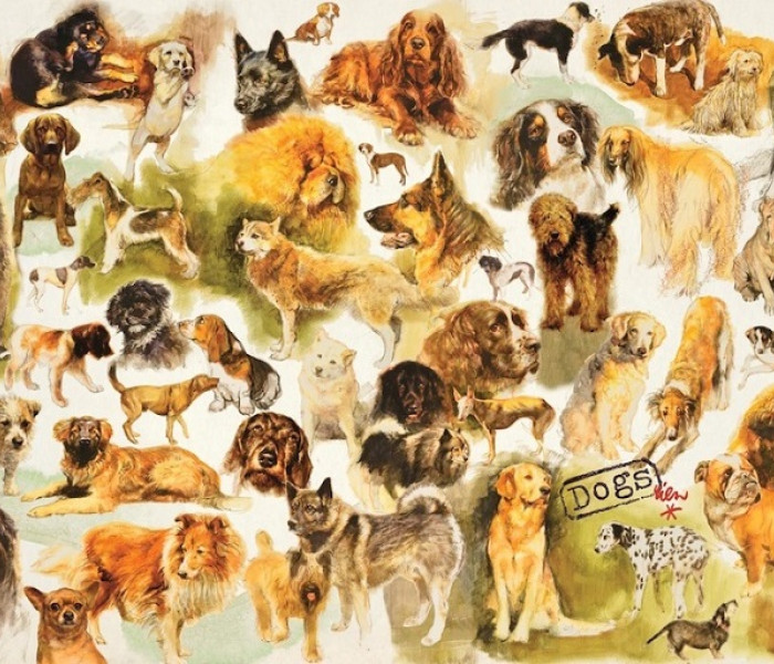 Puzzle - Jumbo - Kutyaposzter