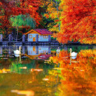 Puzzle - King - Tóparti házikó