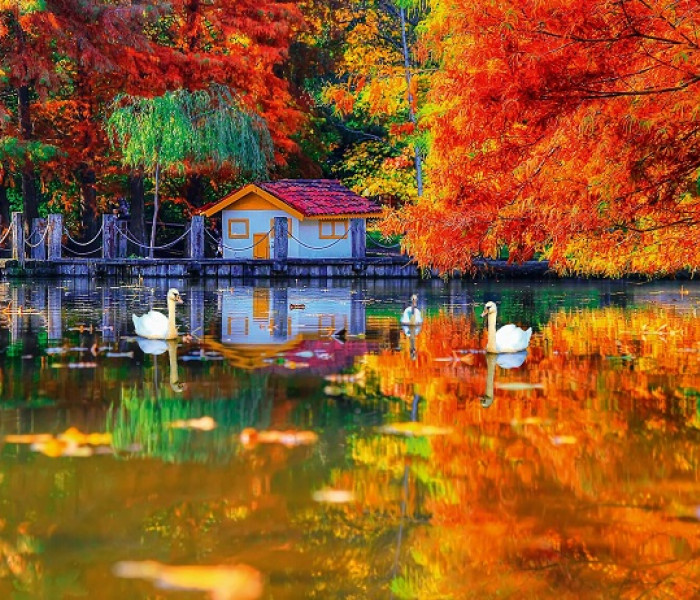 Puzzle - King - Tóparti házikó