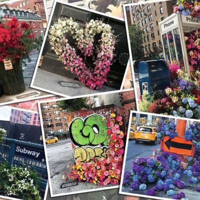 Virágok New Yorkban