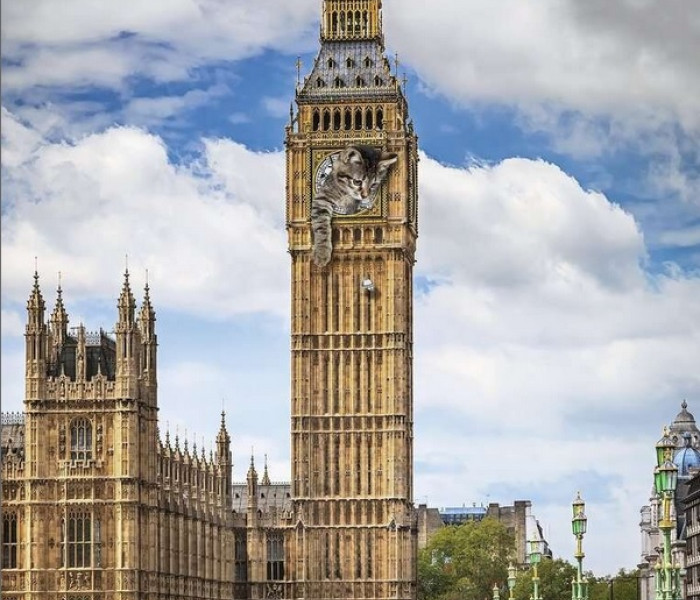 Puzzle - Ravensburger - Macska a Big Benen