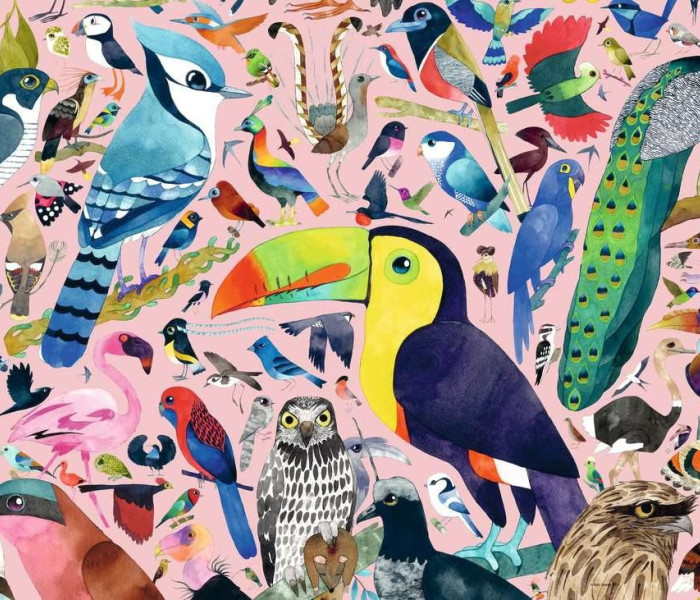 Puzzle - Ravensburger - Csodálatos madarak