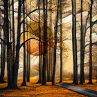 Puzzle - Schmidt - Mágikus erdő