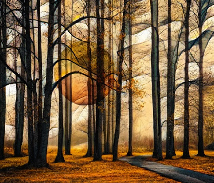 Puzzle - Schmidt - Mágikus erdő