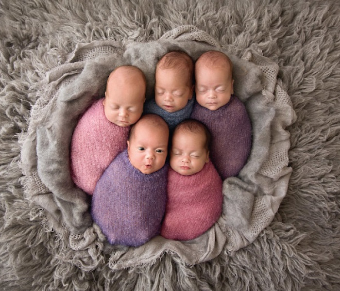 Puzzle - Schmidt - Öten a gombolyagban