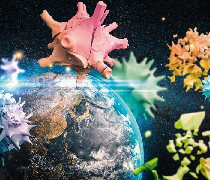 Puzzle - Schmidt - Bolygónk, a Föld 2020