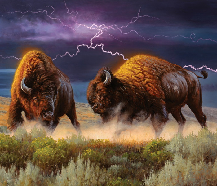 Puzzle - Sunsout - Bölény