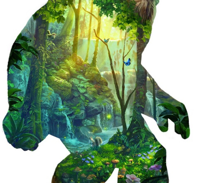 Puzzle - Sunsout - Férfi az Erdőből