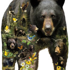 Puzzle - Sunsout - Medve