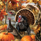 Puzzle - Sunsout - Pulykák ősszel