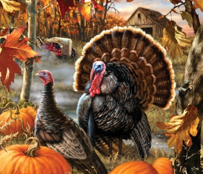 Puzzle - Sunsout - Pulykák ősszel