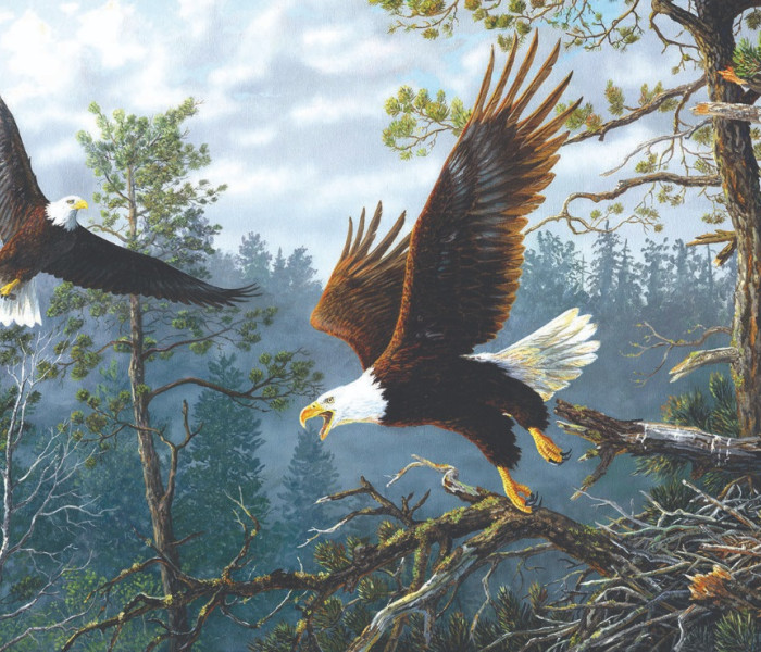 Puzzle - Sunsout - Sasfészek