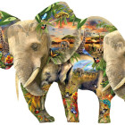 Puzzle - Sunsout - Elefántok