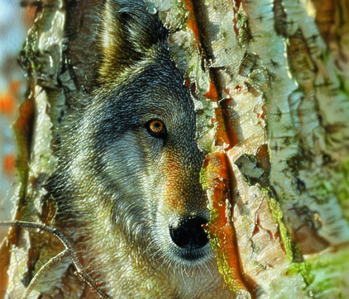 Puzzle - Sunsout - Farkas