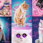 Puzzle - Trefl - Szuper macskák