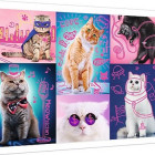 Puzzle - Trefl - Szuper macskák