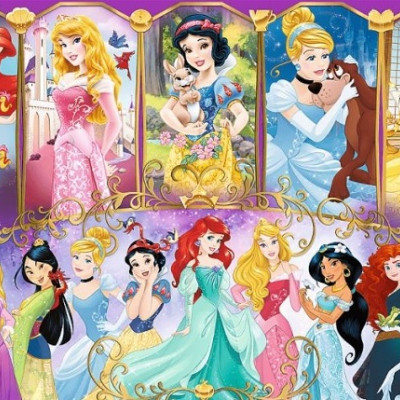 A hercegnők csodálatos világa