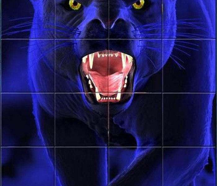 Puzzle - Piatnik - Párduc - 3D-s kirakós játék