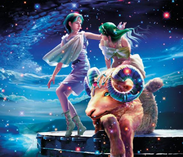 Puzzle - Zdeko - Kos