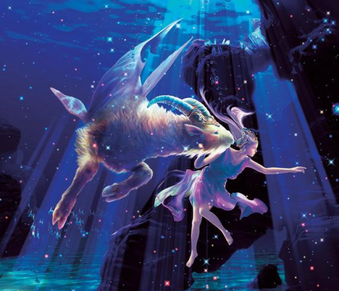 Puzzle - Zdeko - Bak