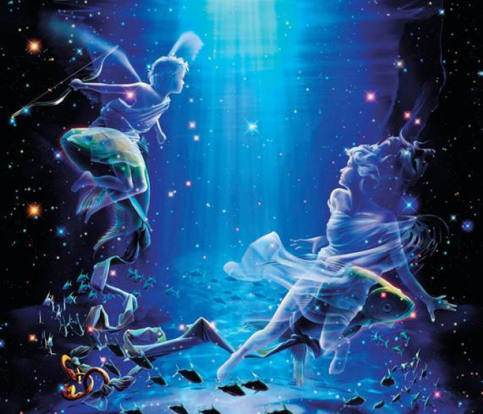 Puzzle - Zdeko - Halak