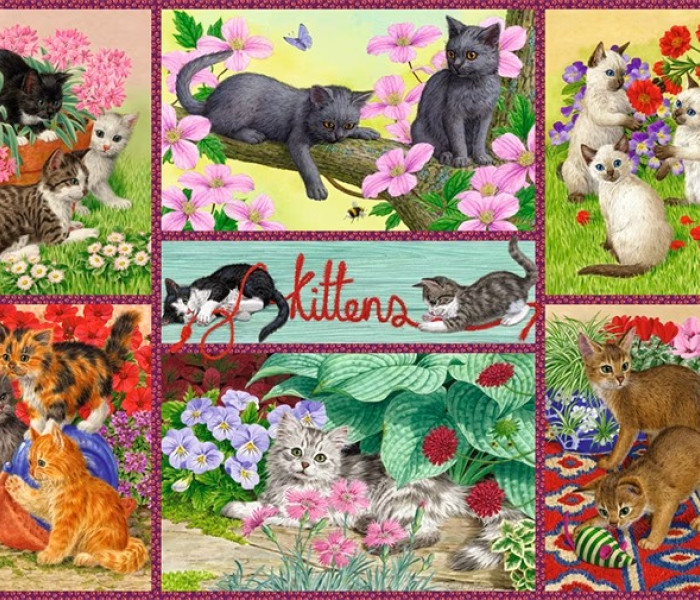 Puzzle - Falcon - Játékos kiscicák